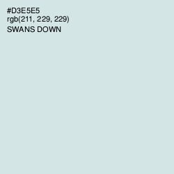 #D3E5E5 - Swans Down Color Image